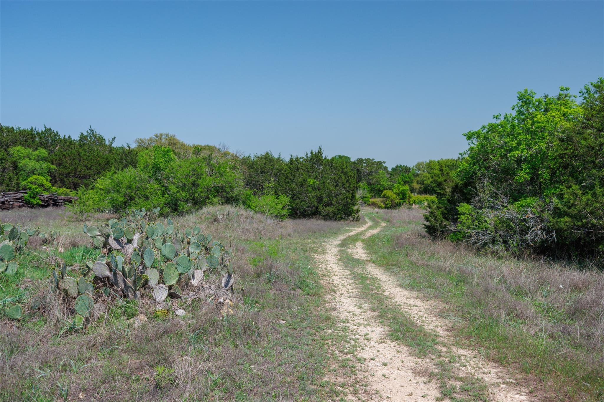TBD LOT 20 PIEDRAS PASS, San Marcos, TX 78666