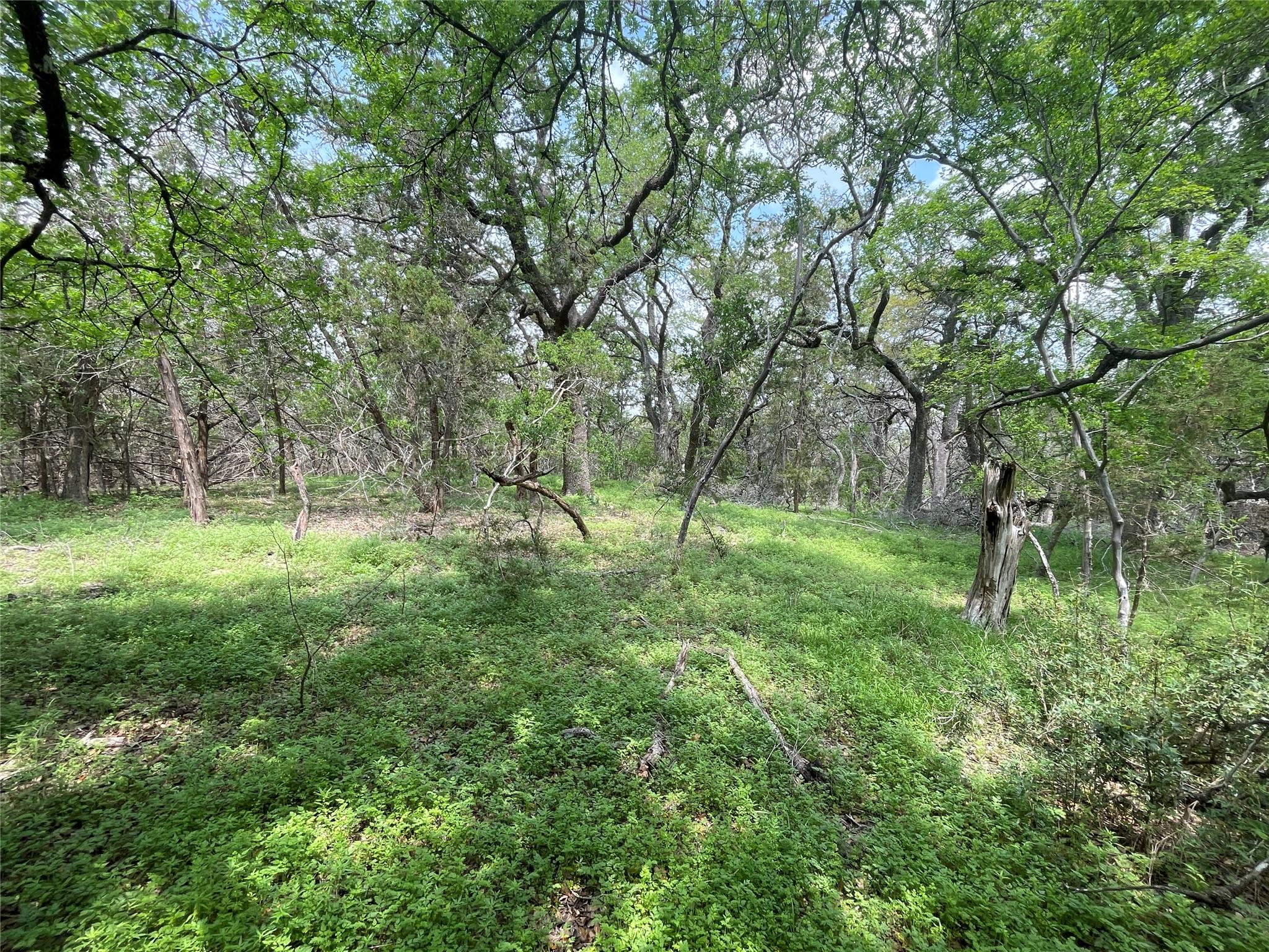 TBD LOT 20 PIEDRAS PASS, San Marcos, TX 78666
