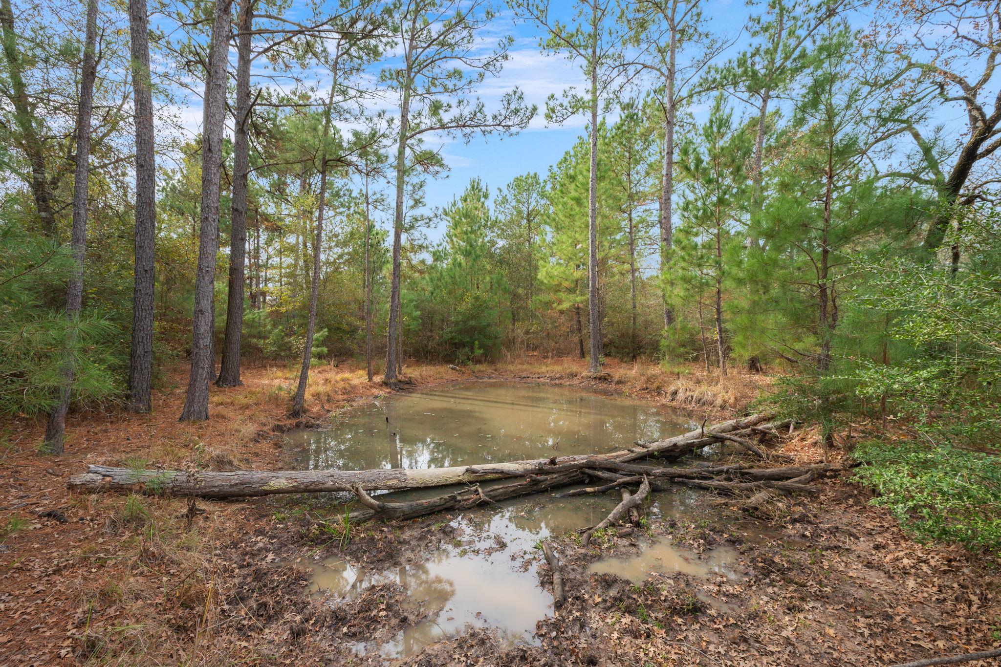 000 Dickey Loop, Huntsville, TX 77831