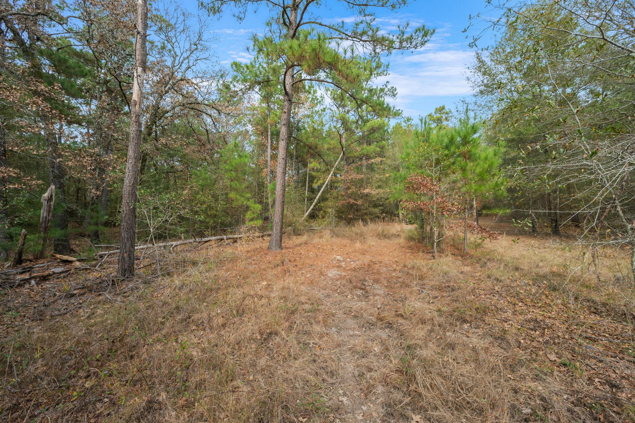 000 Dickey Loop, Huntsville, TX 77831