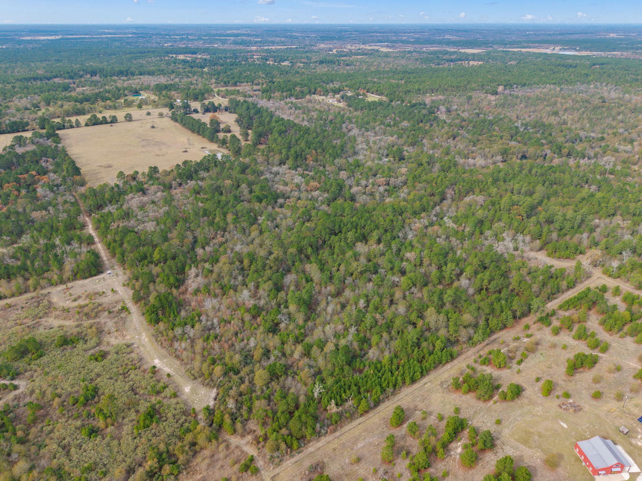 000 Dickey Loop, Huntsville, TX 77831