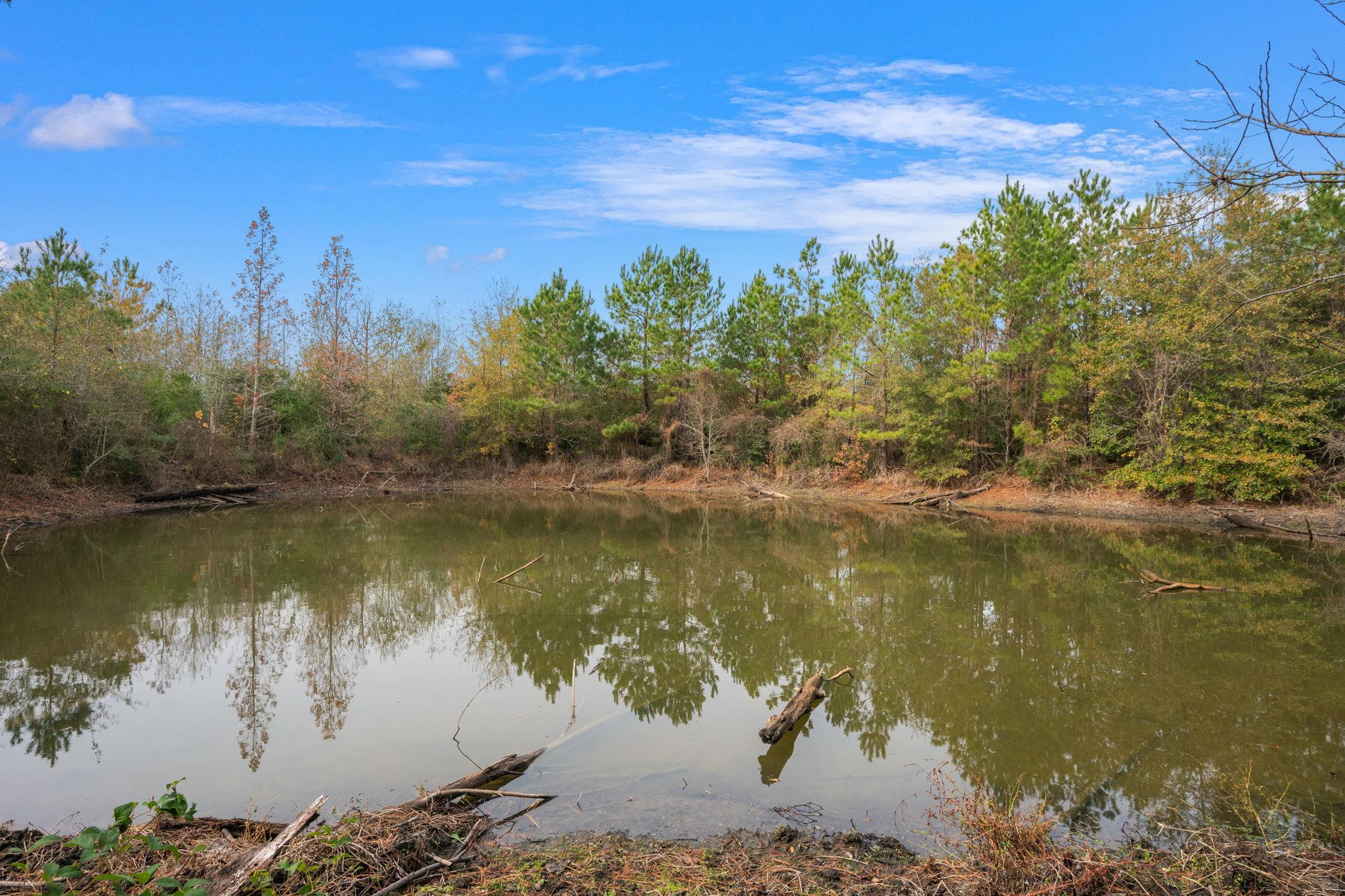 000 Dickey Loop, Huntsville, TX 77831