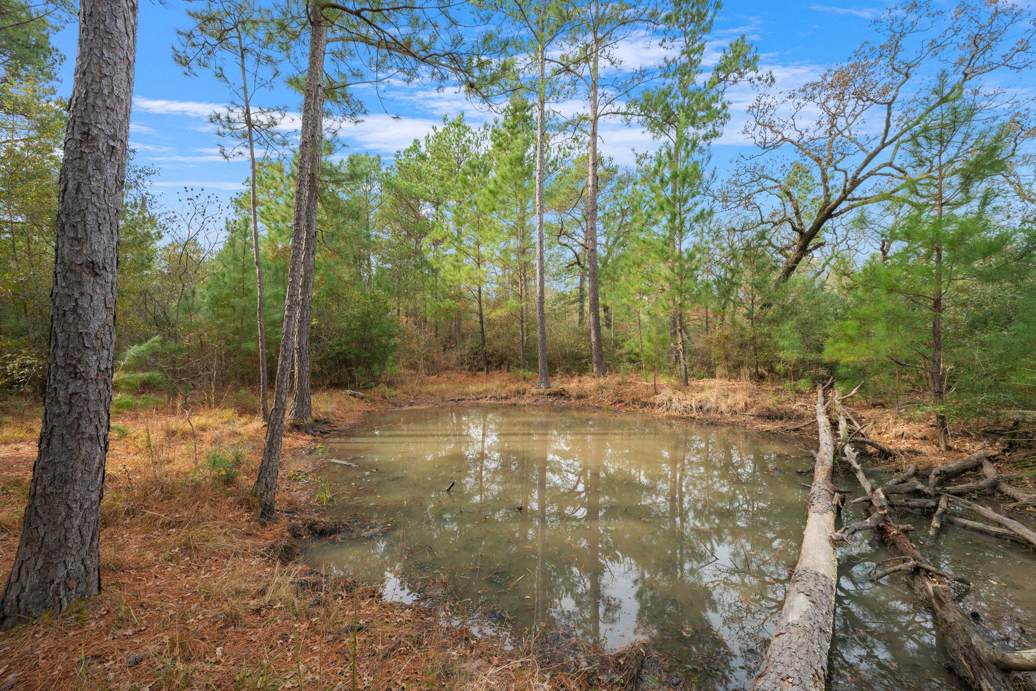 000 Dickey Loop, Huntsville, TX 77831