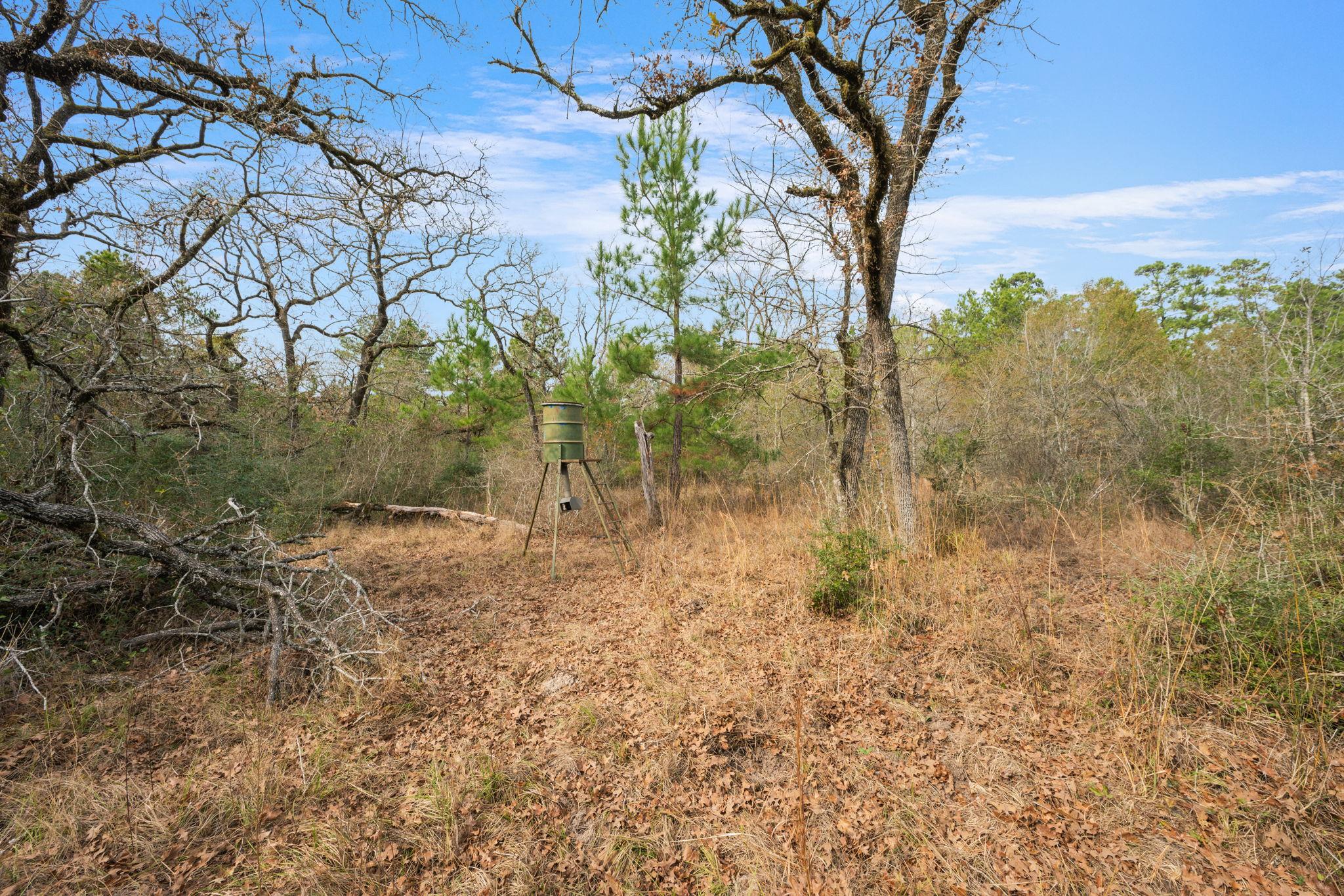 000 Dickey Loop, Huntsville, TX 77831