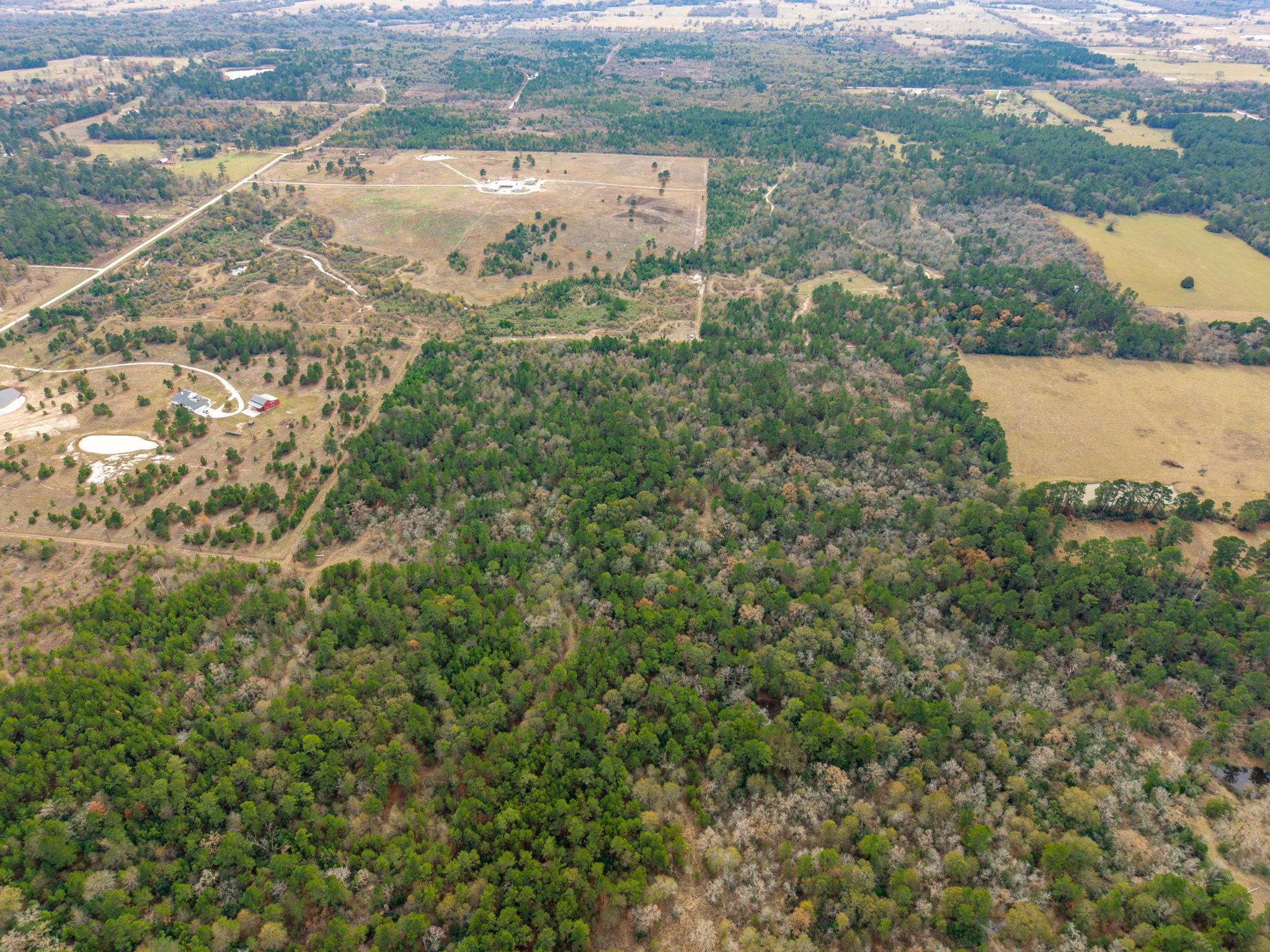 000 Dickey Loop, Huntsville, TX 77831
