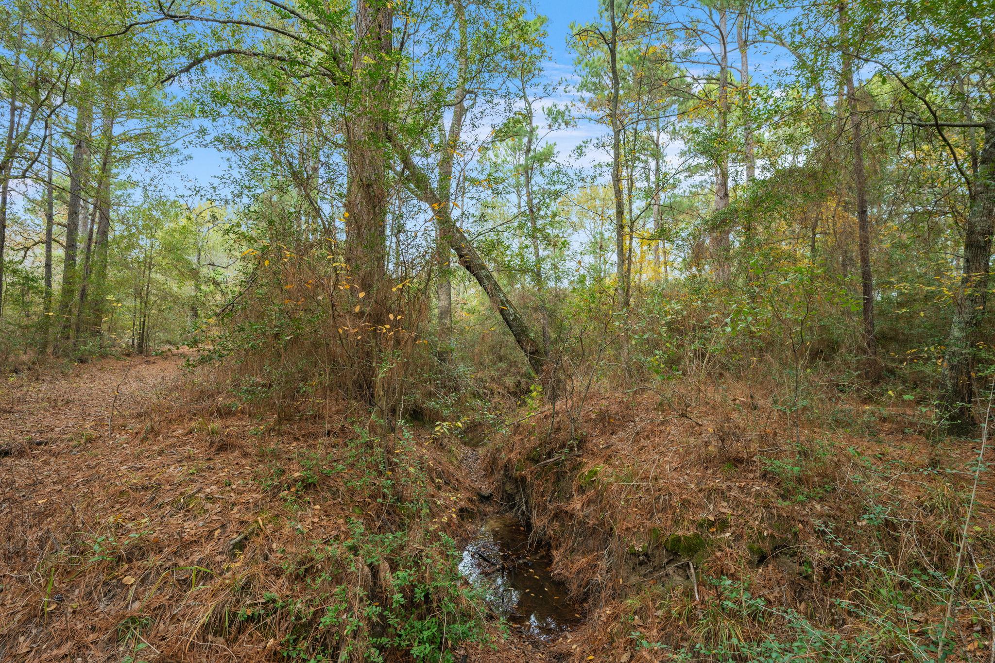 000 Dickey Loop, Huntsville, TX 77831