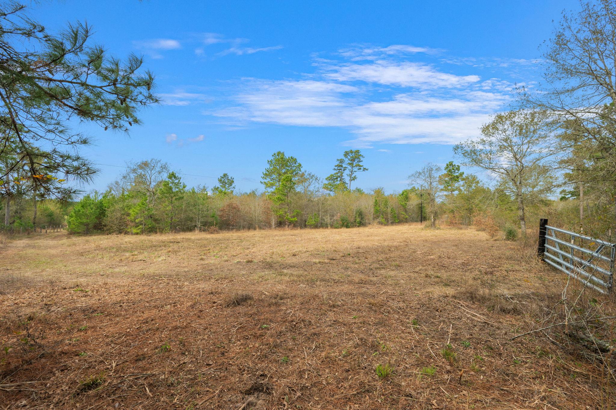 000 Dickey Loop, Huntsville, TX 77831