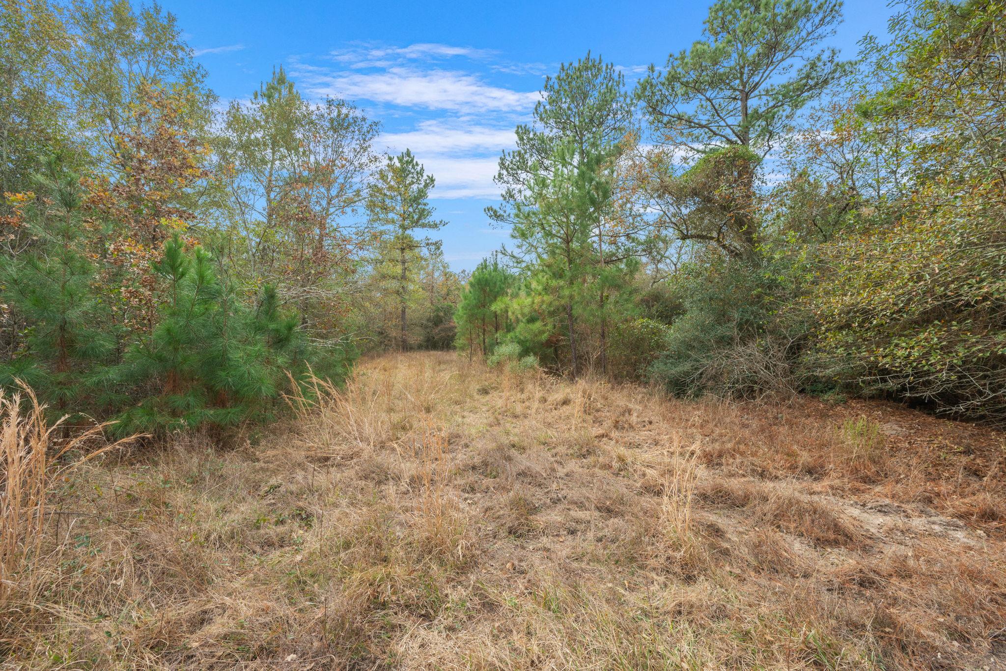 000 Dickey Loop, Huntsville, TX 77831