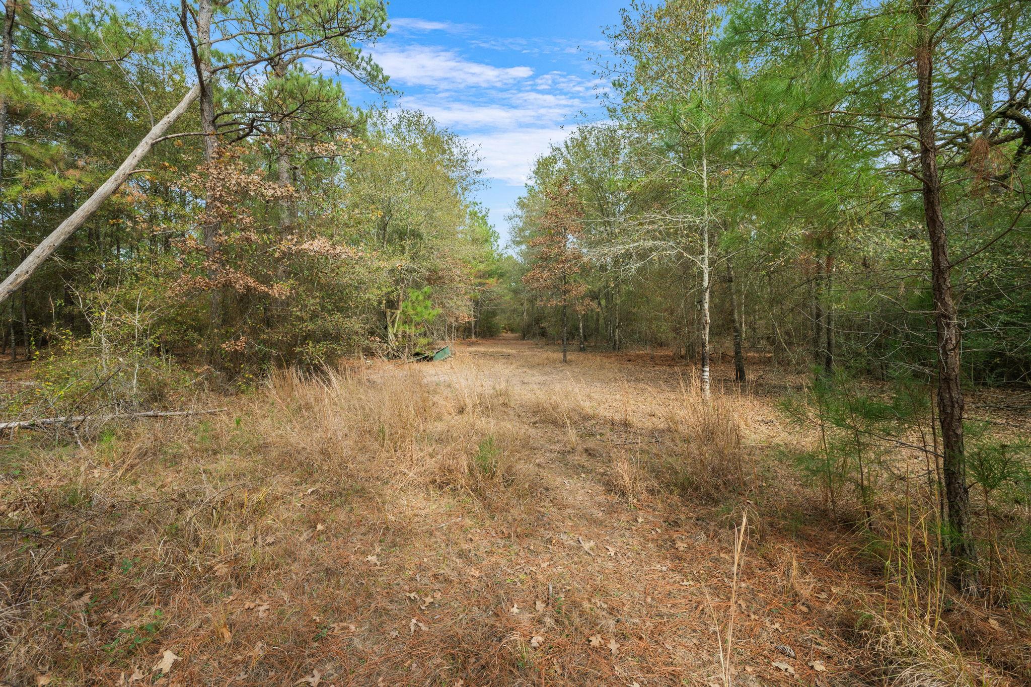 000 Dickey Loop, Huntsville, TX 77831