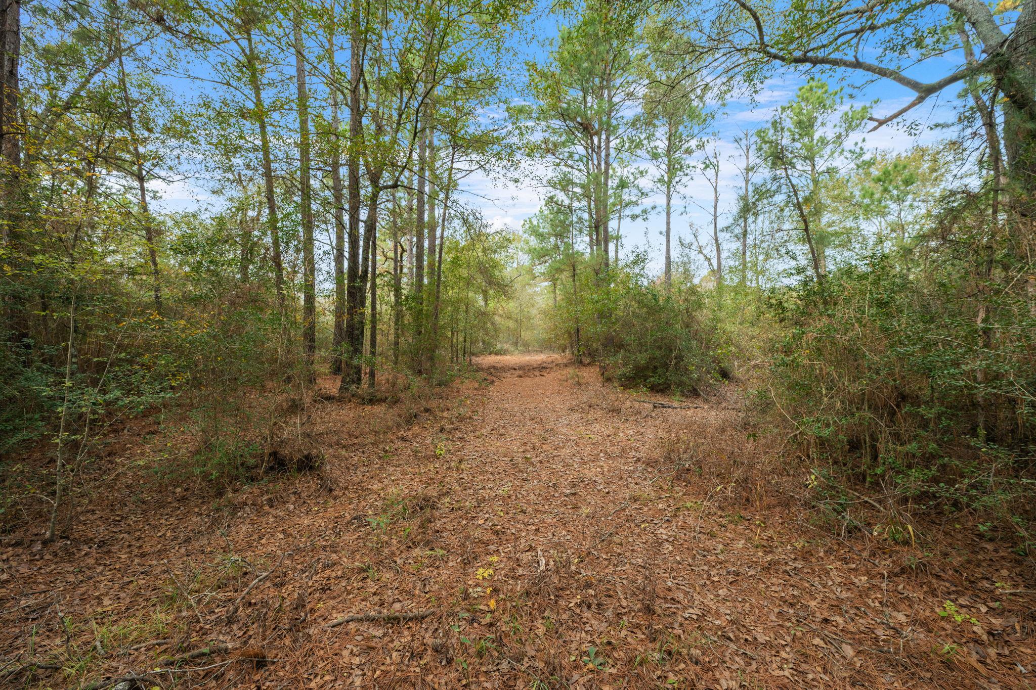 000 Dickey Loop, Huntsville, TX 77831