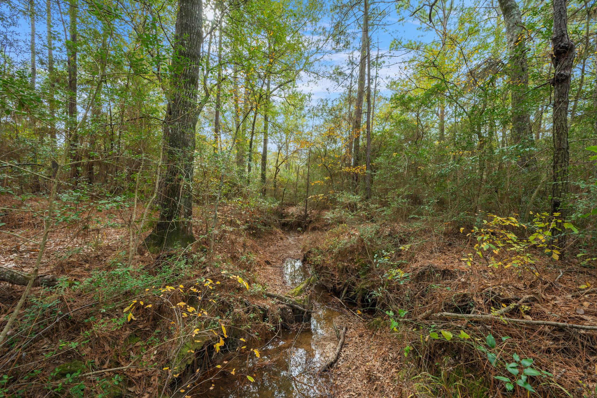 000 Dickey Loop, Huntsville, TX 77831