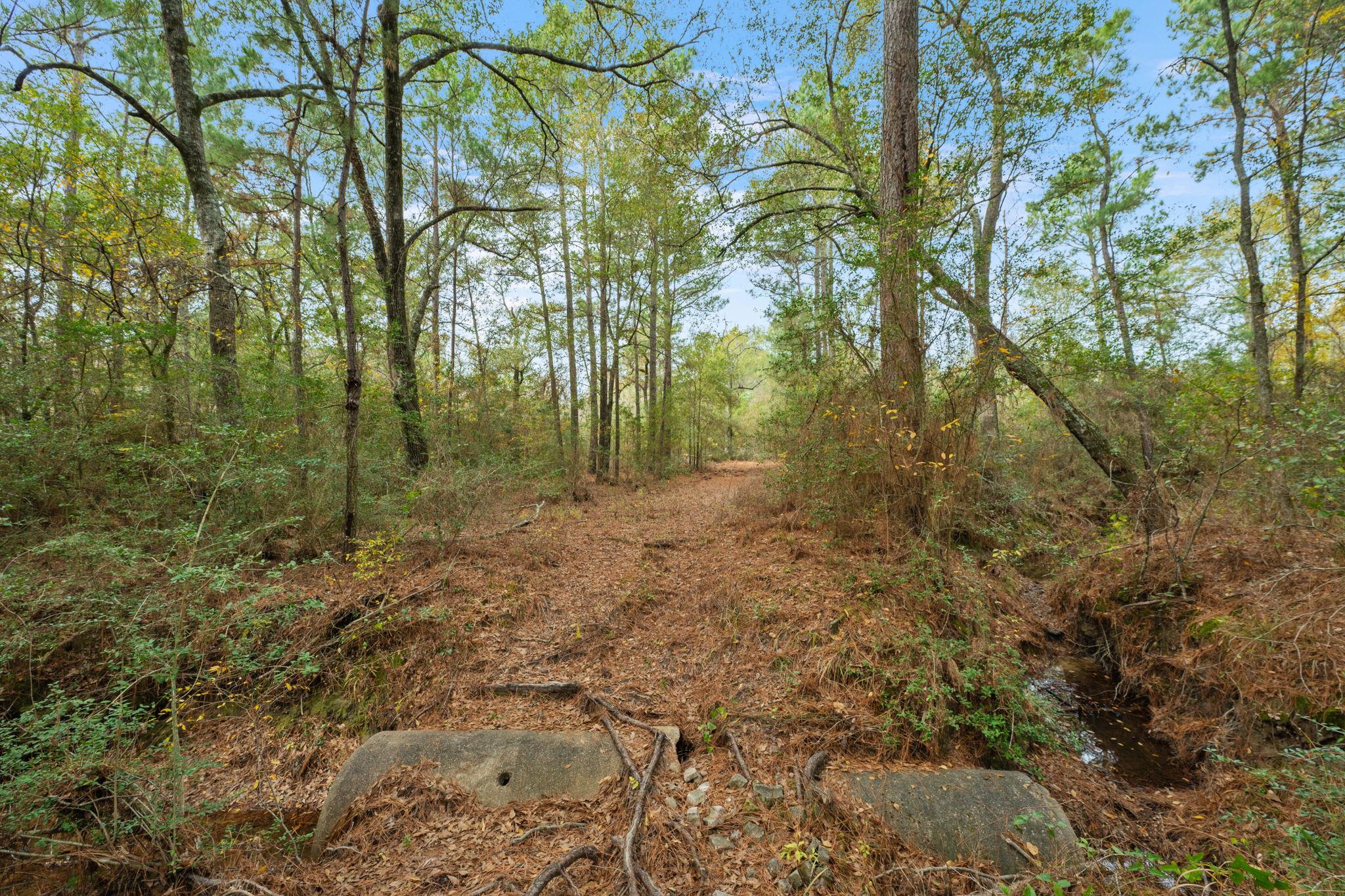000 Dickey Loop, Huntsville, TX 77831