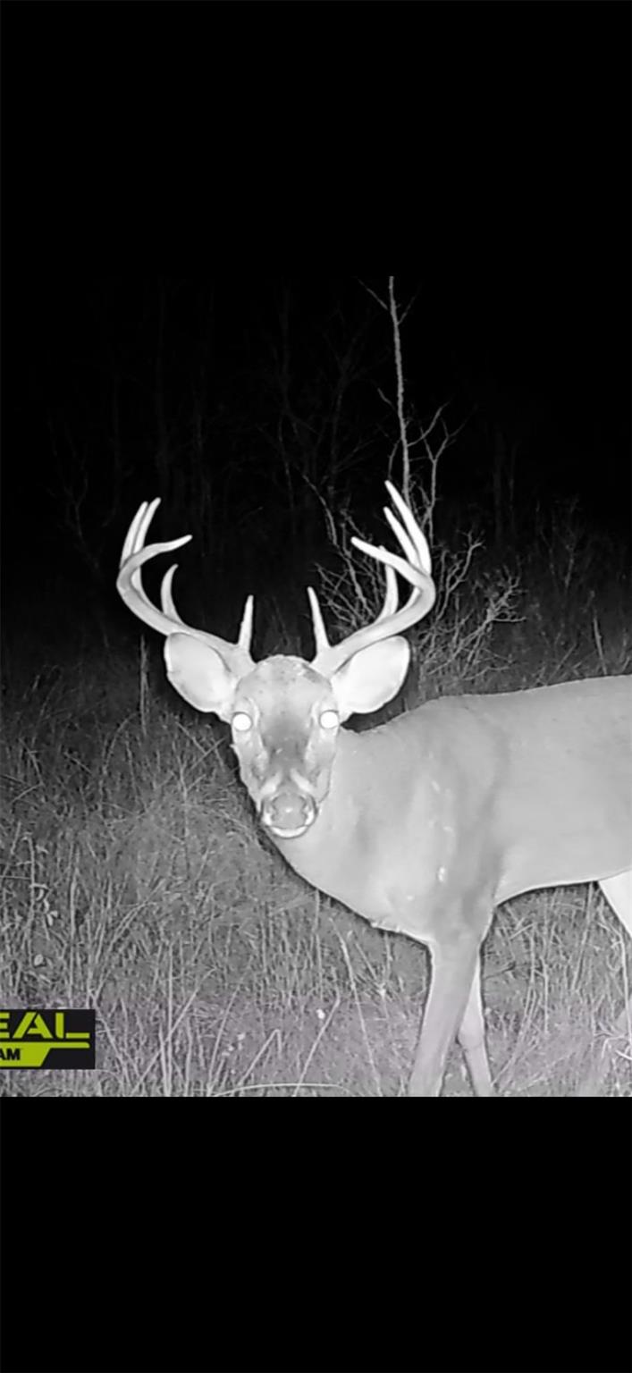 000 Dickey Loop, Huntsville, TX 77831