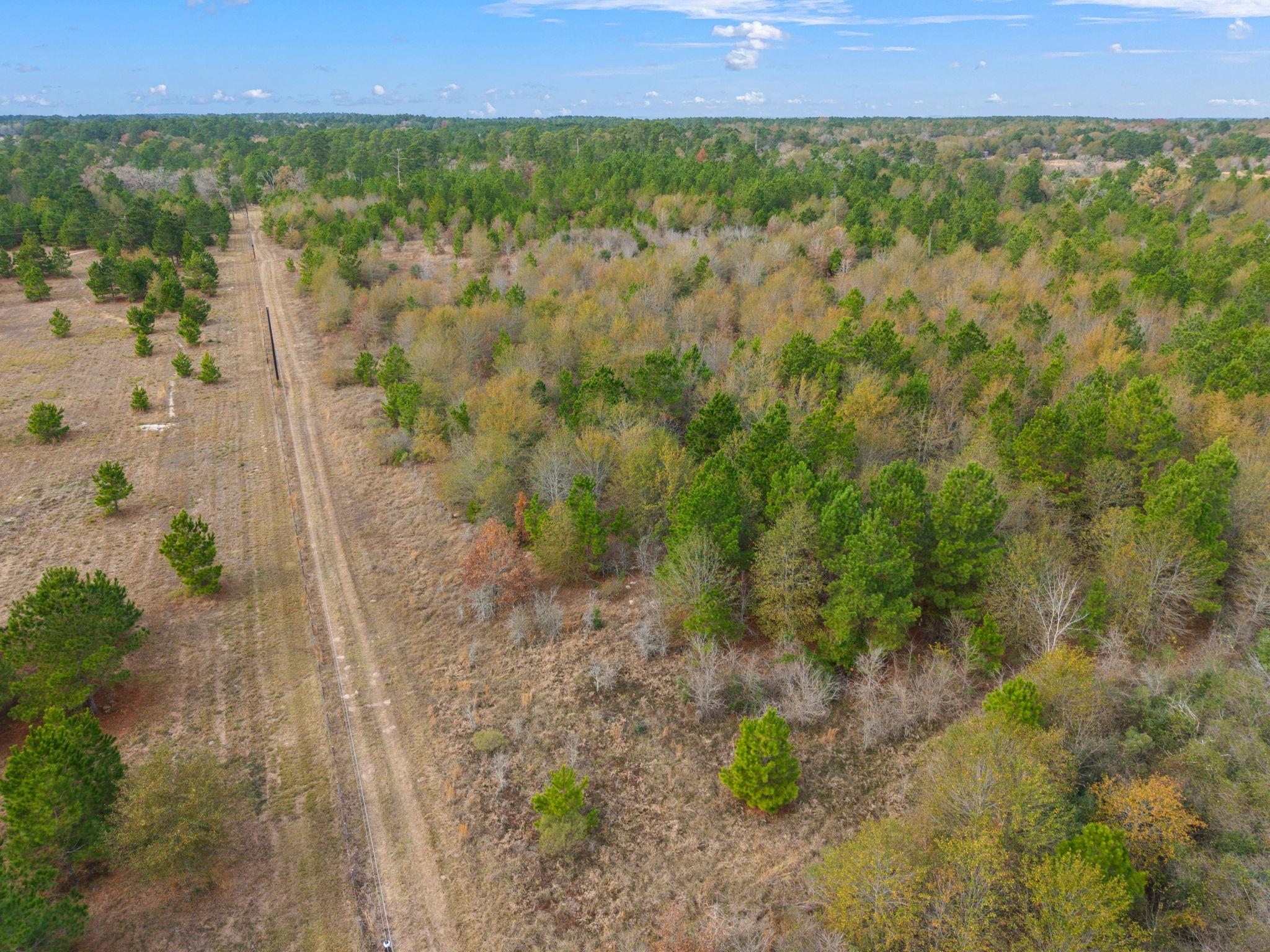 000 Dickey Loop, Huntsville, TX 77831