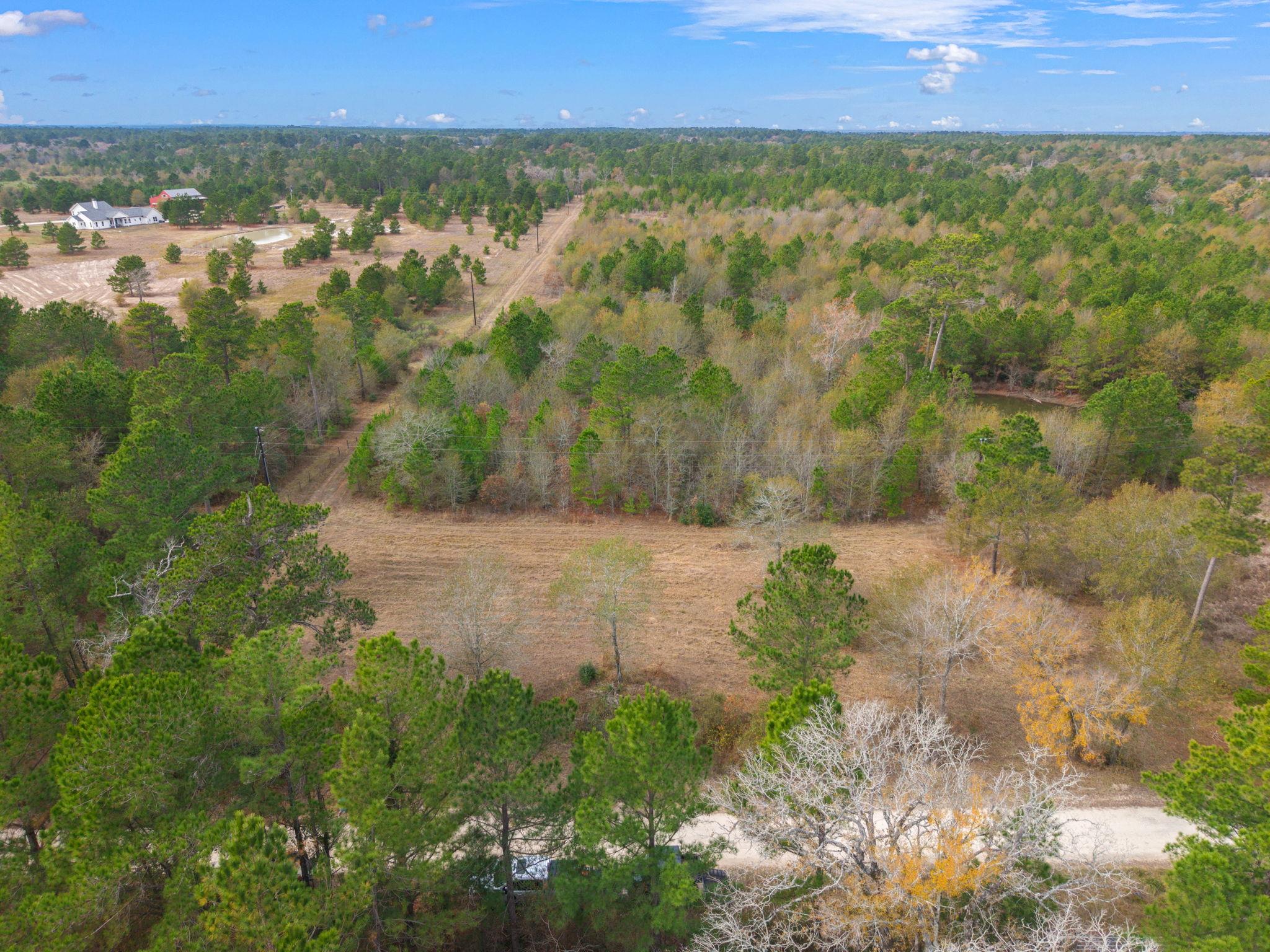 000 Dickey Loop, Huntsville, TX 77831