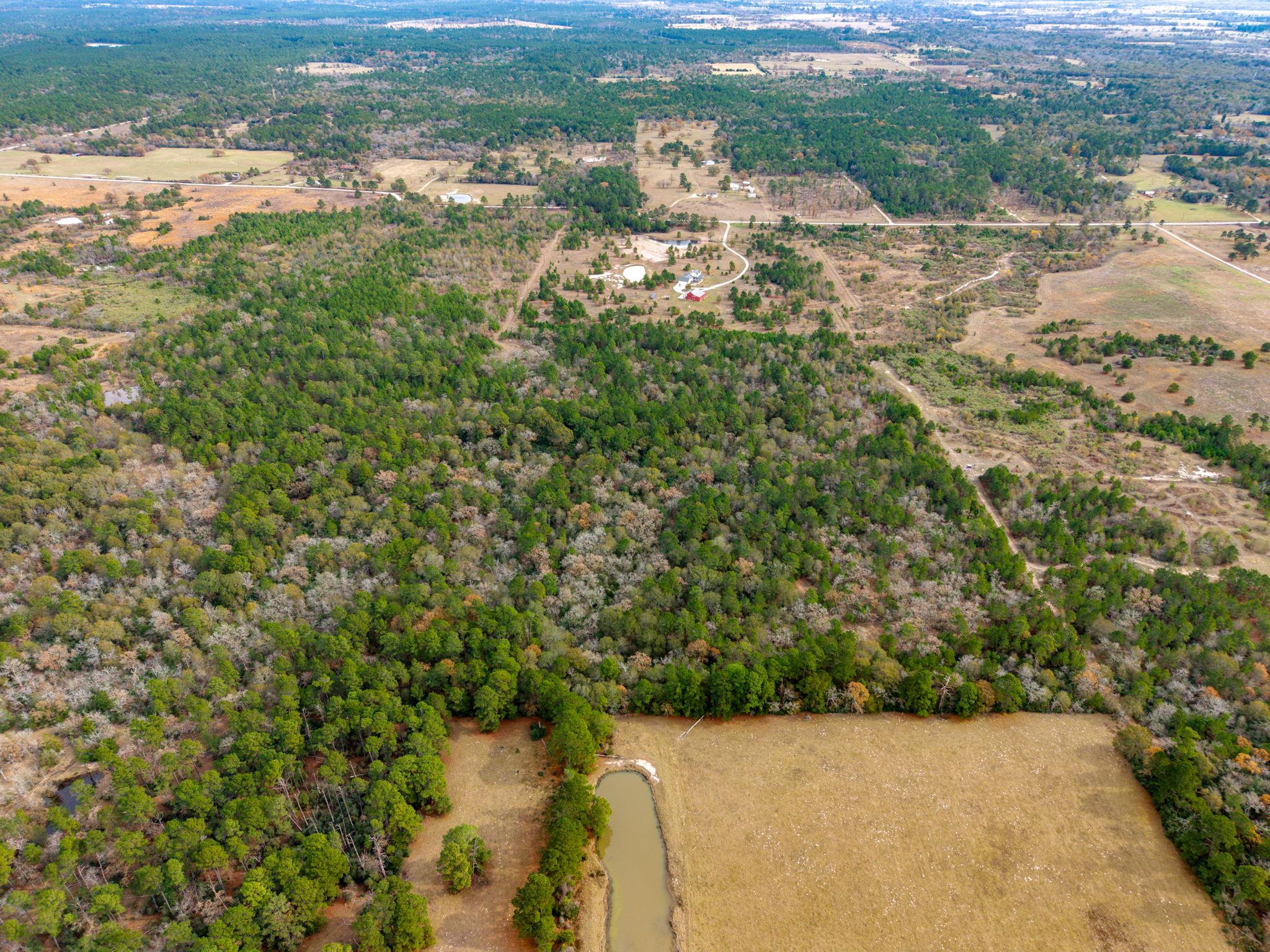 000 Dickey Loop, Huntsville, TX 77831