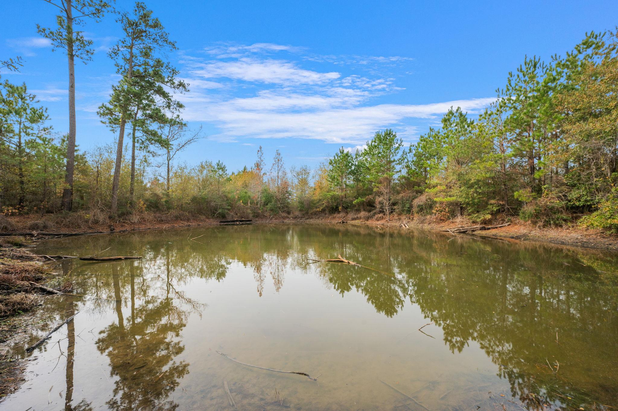 000 Dickey Loop, Huntsville, TX 77831