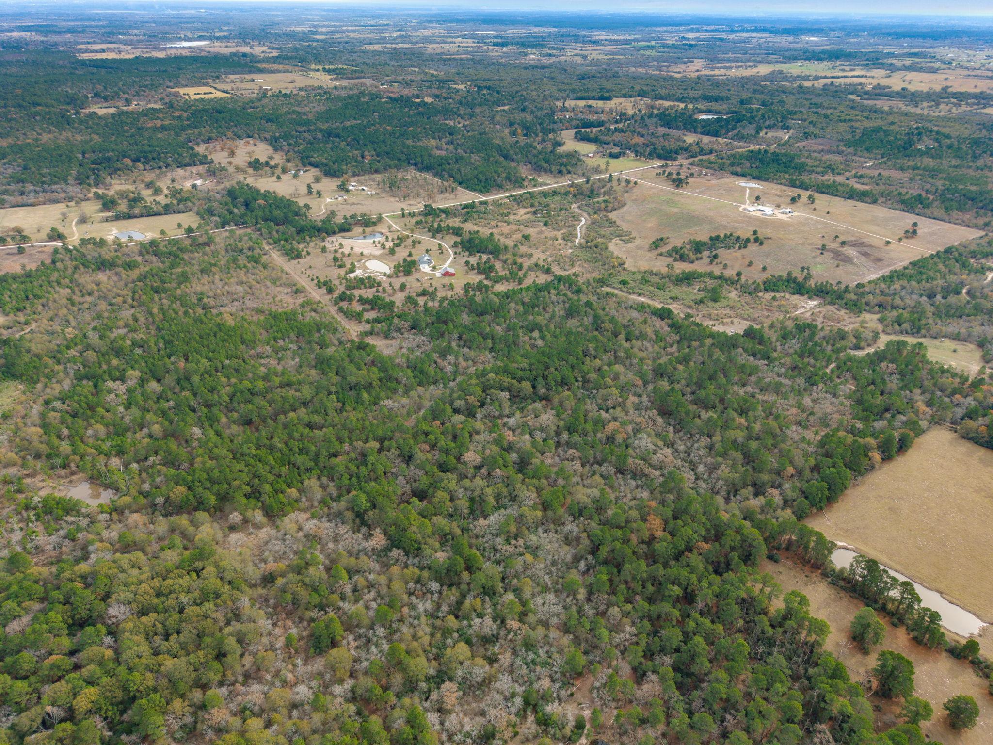 000 Dickey Loop, Huntsville, TX 77831