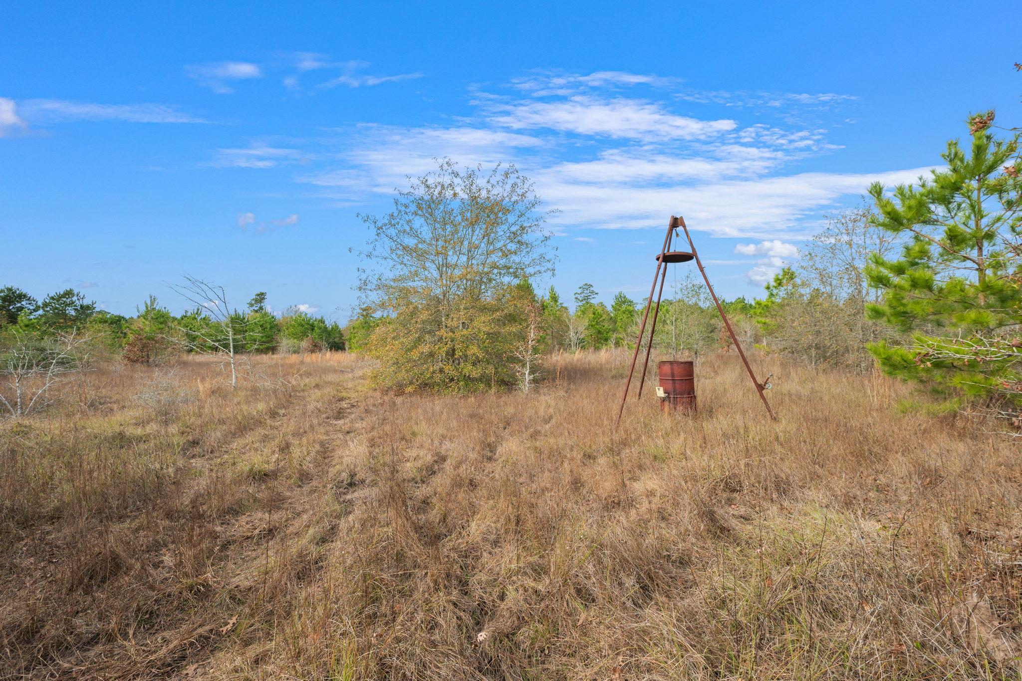 000 Dickey Loop, Huntsville, TX 77831