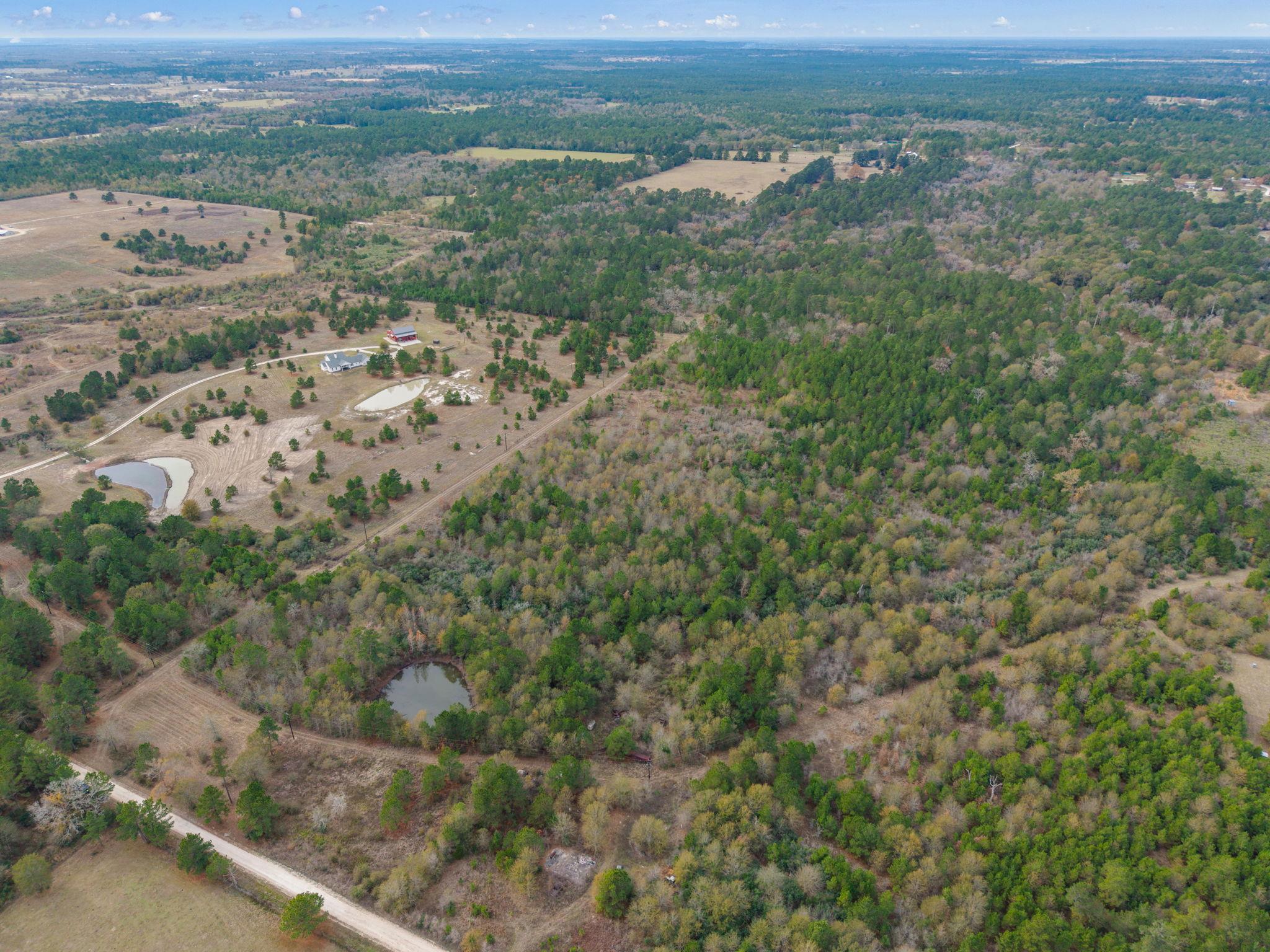 000 Dickey Loop, Huntsville, TX 77831