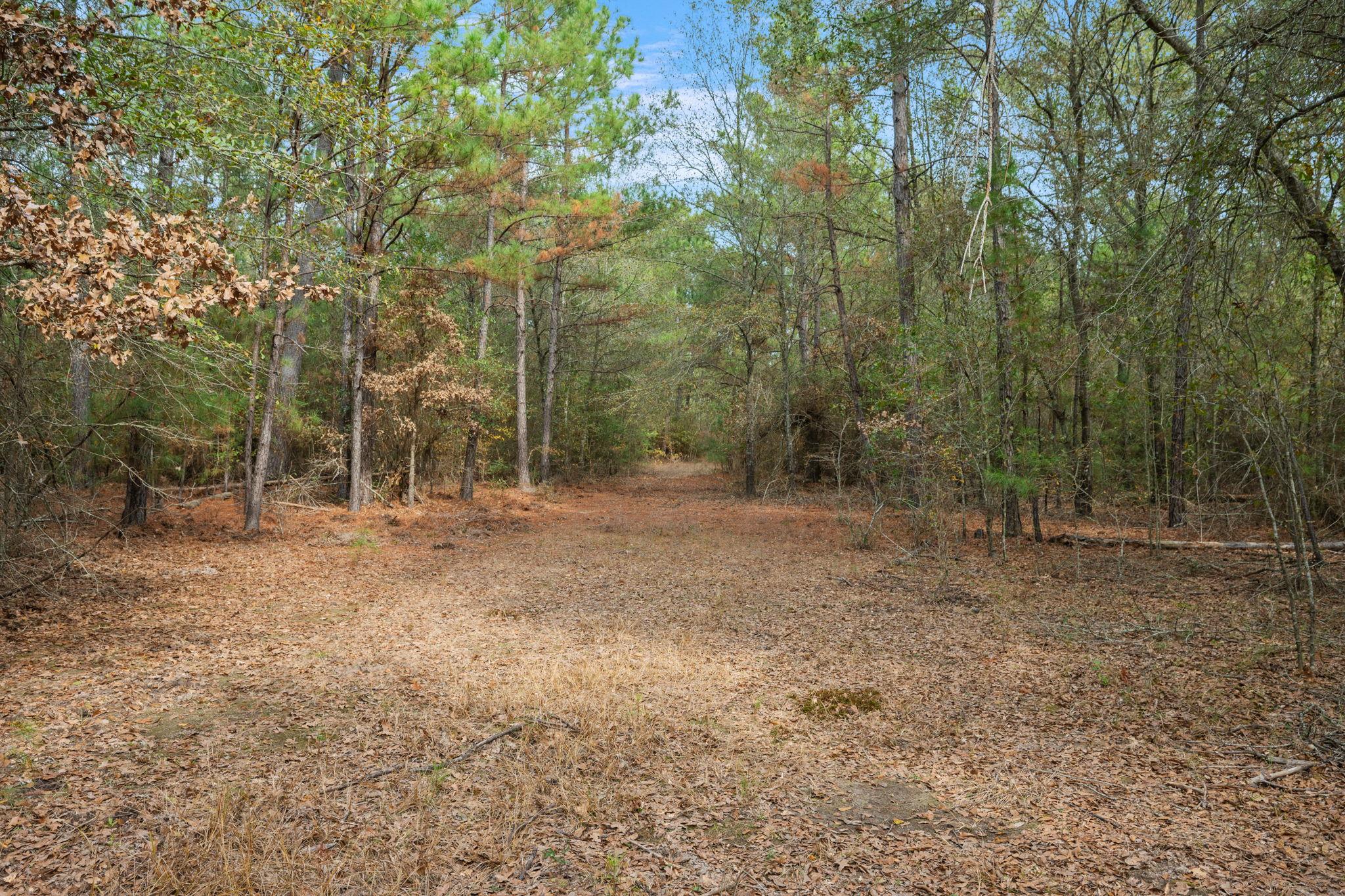 000 Dickey Loop, Huntsville, TX 77831