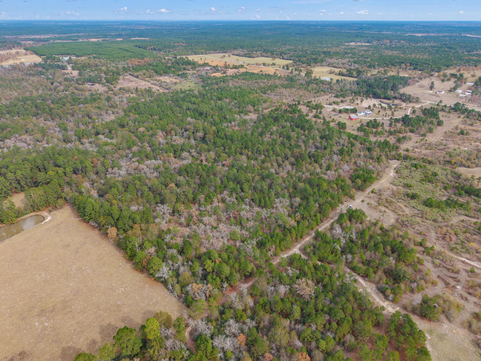 000 Dickey Loop, Huntsville, TX 77831