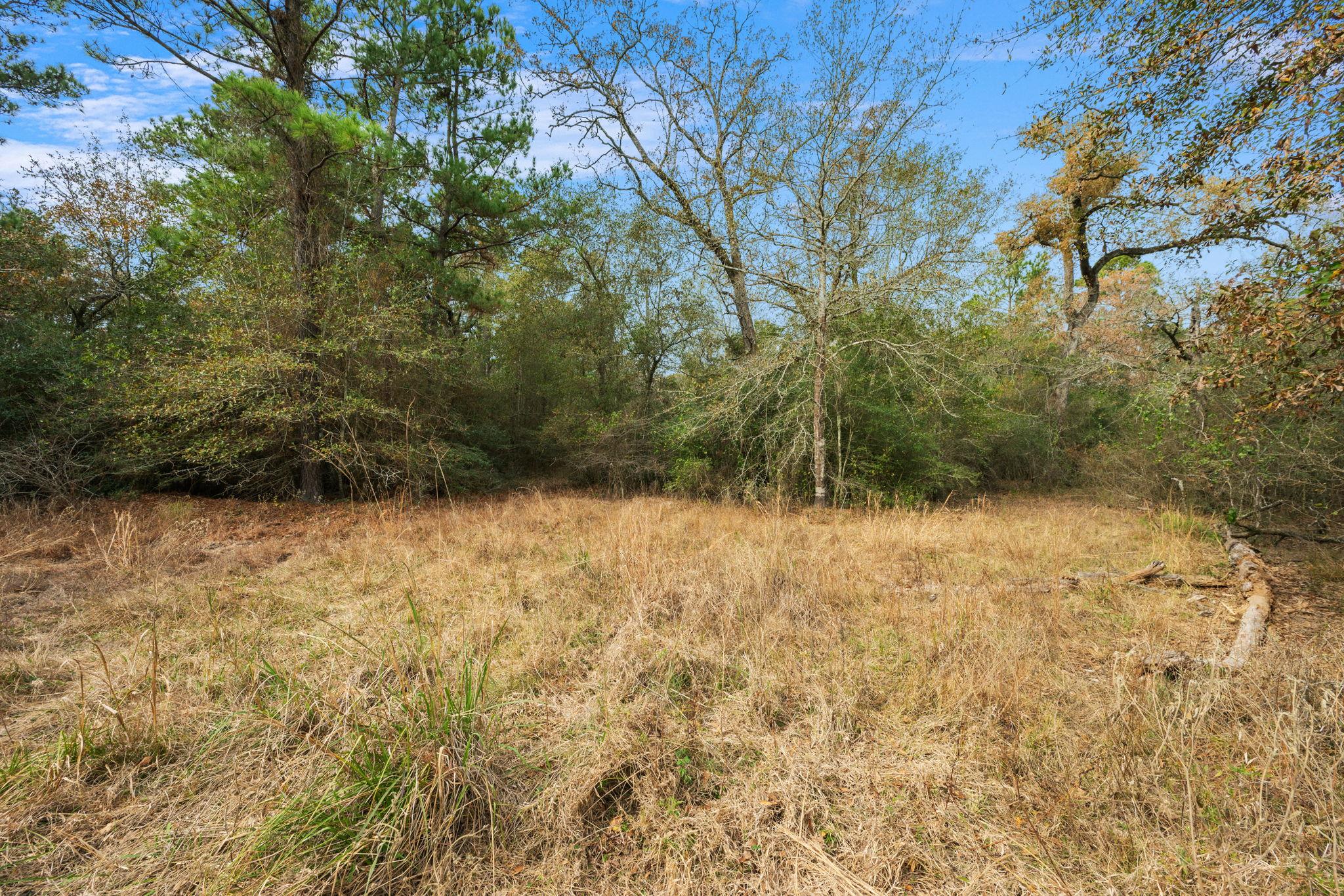 000 Dickey Loop, Huntsville, TX 77831