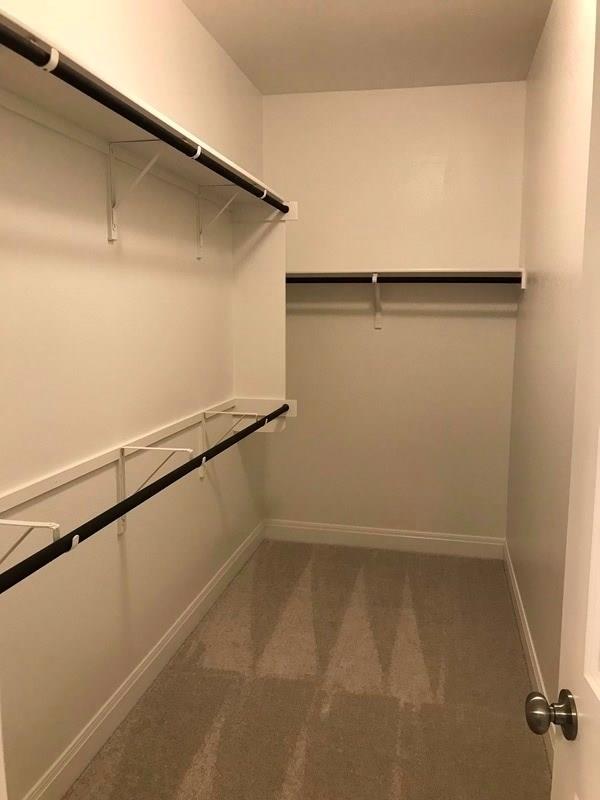 109 Eli Whitney Way, Hutto, TX 78634