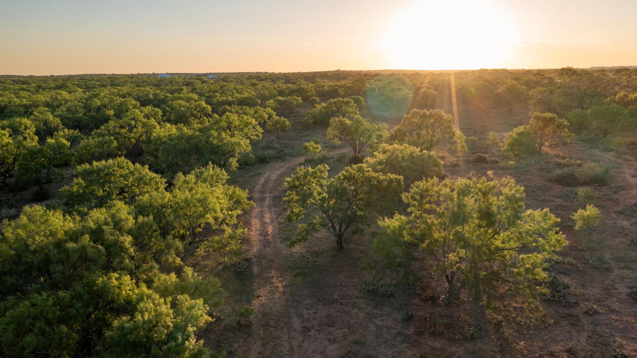 1895 Us Highway 87, Mason, TX 76856