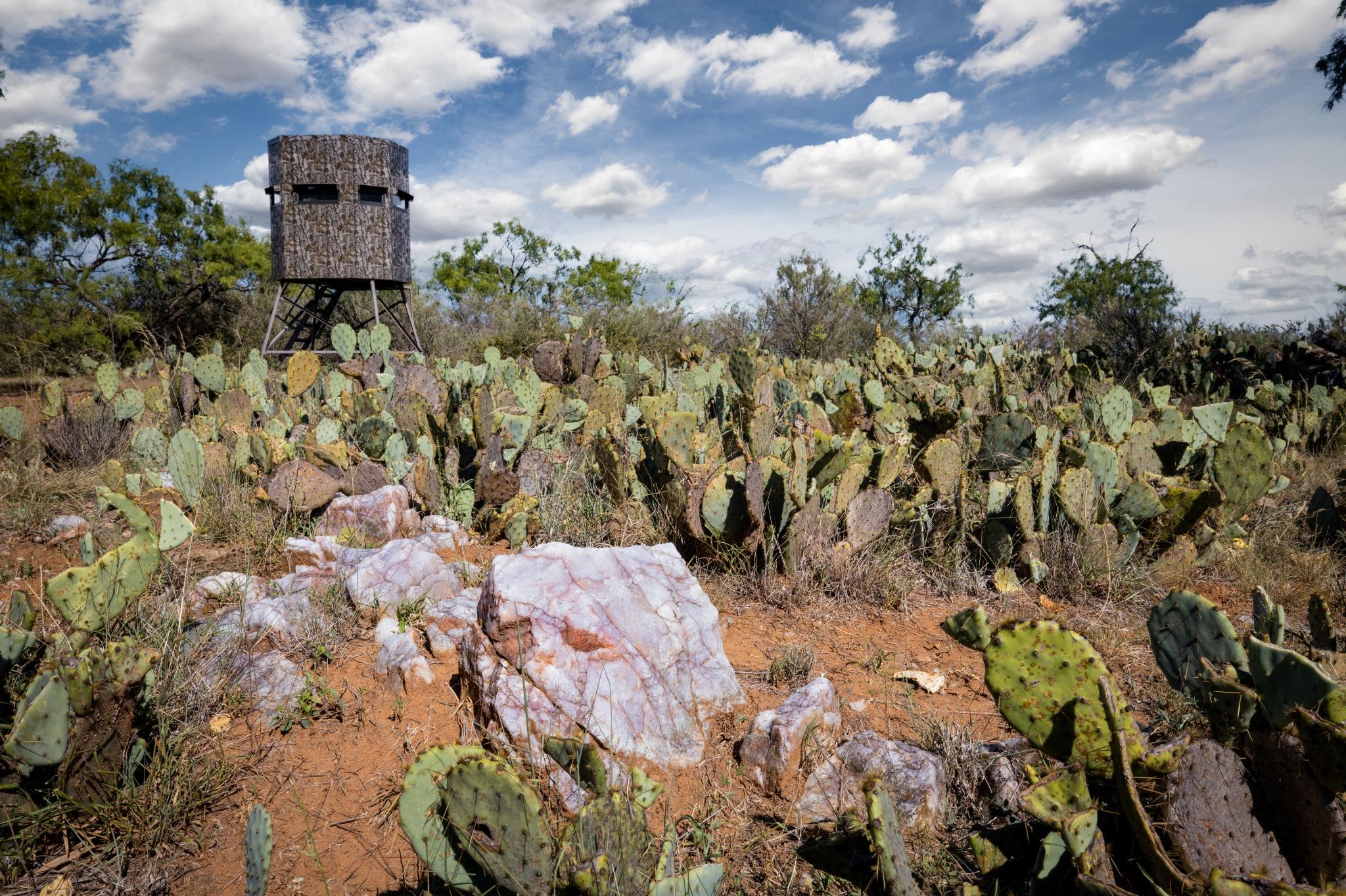 1895 Us Highway 87, Mason, TX 76856