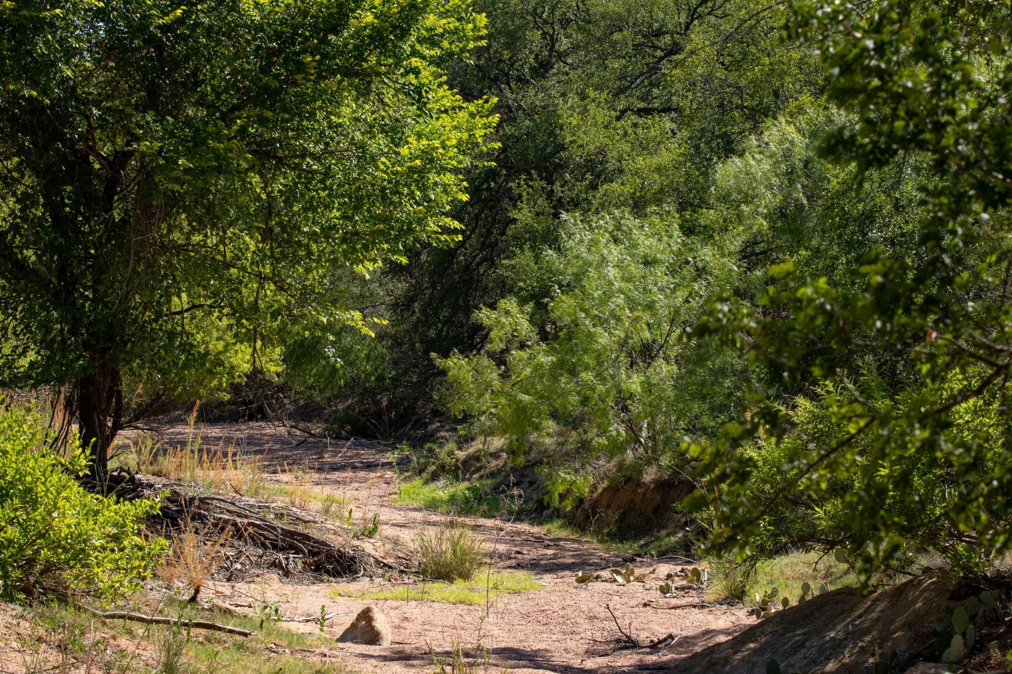 1895 Us Highway 87, Mason, TX 76856