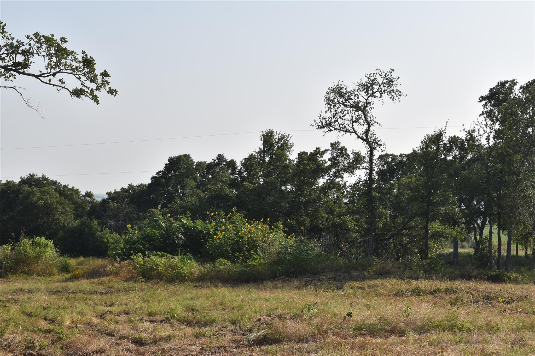 1130 Fm-970, Florence, TX 76527