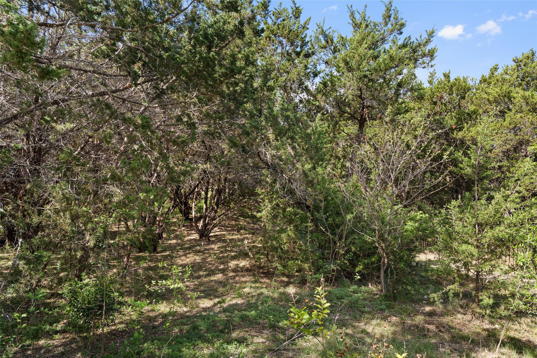 164 Milestone Rd, Liberty Hill, TX 78642