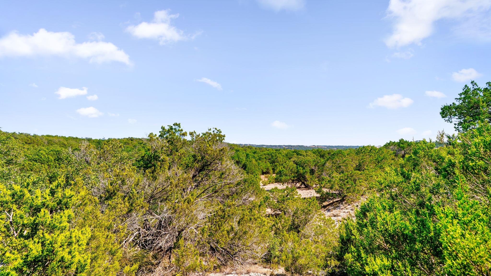 601 Hays Country Acres Rd, Dripping Springs, TX 78620
