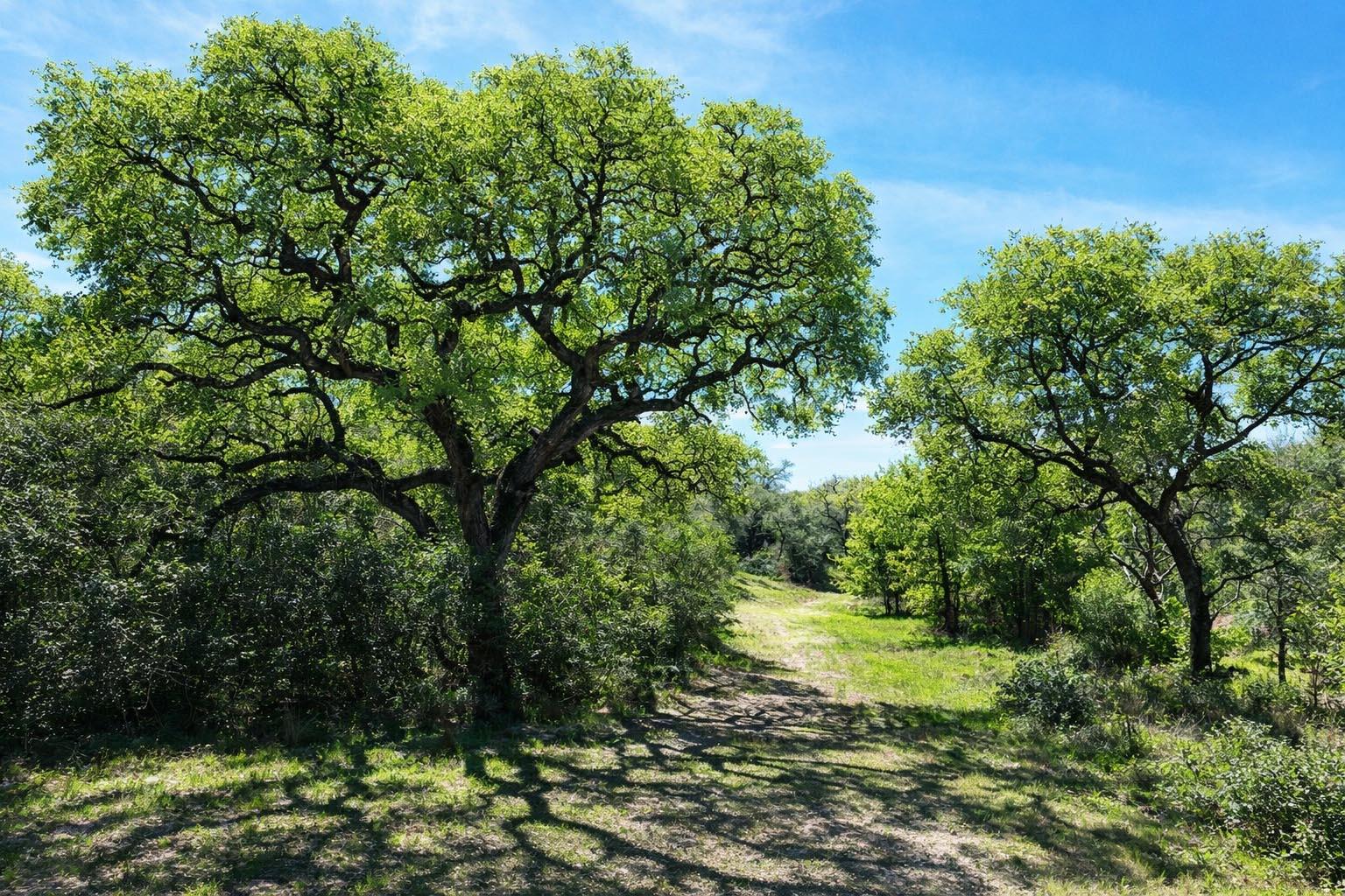 1839 County Road 103, Columbus, TX 78934