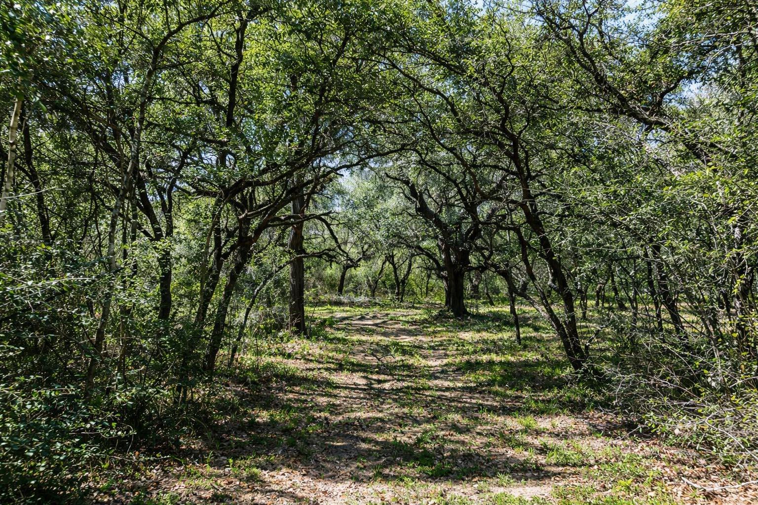 1839 County Road 103, Columbus, TX 78934