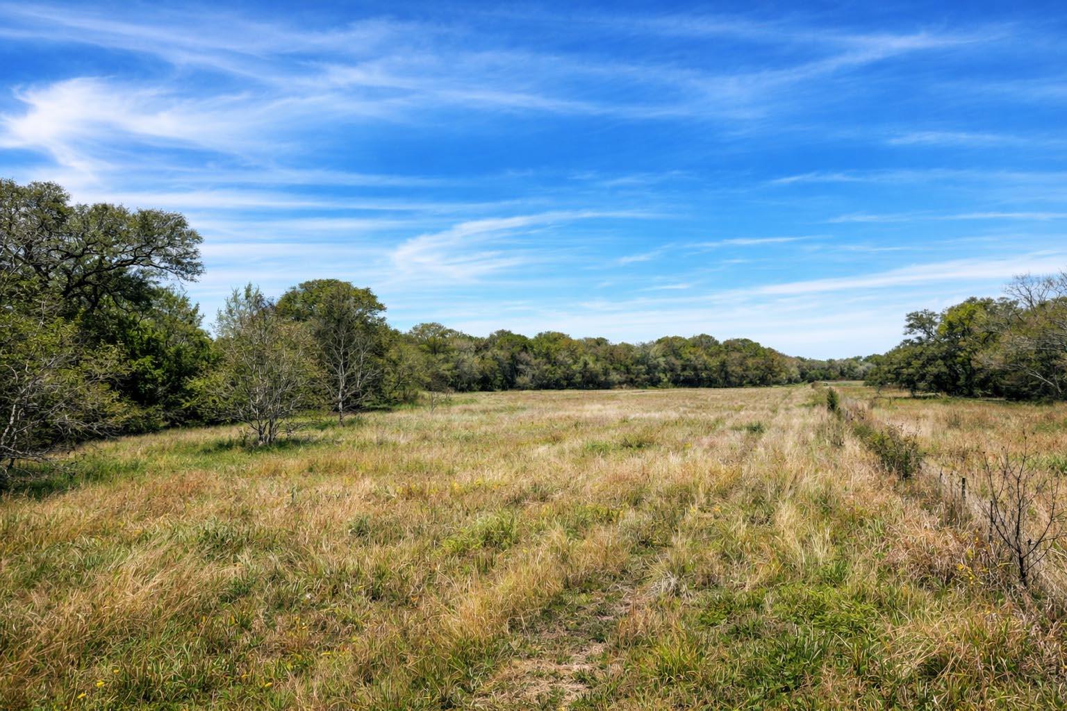 1839 County Road 103, Columbus, TX 78934