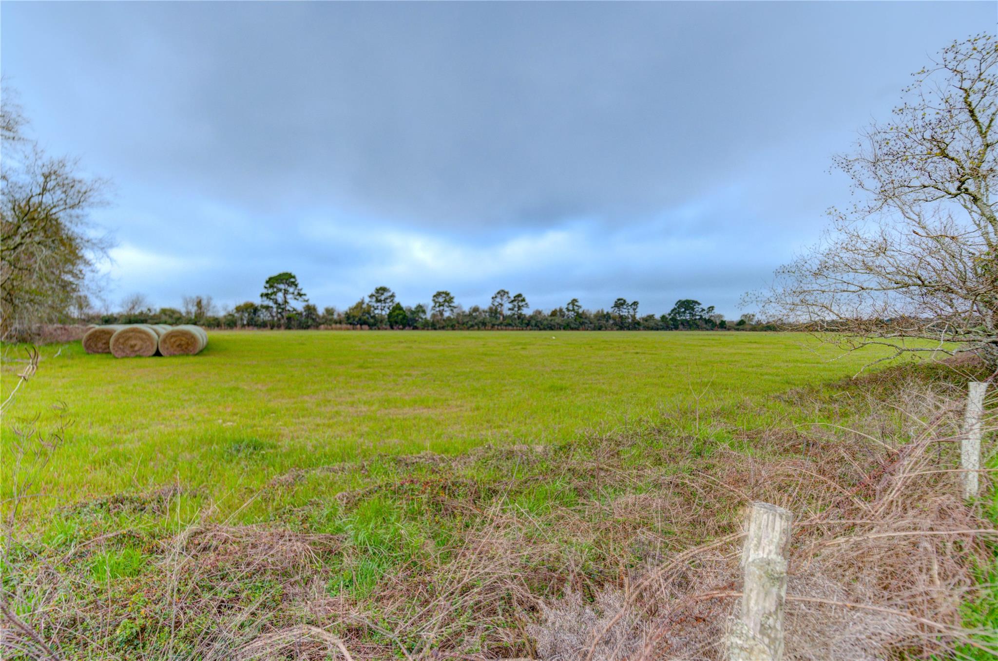 29241 Burton Cemetery Rd, Waller, TX 77484