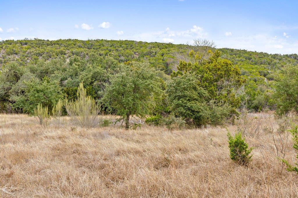 5408 Spring Preserve Trl, Bee Cave, TX 78738