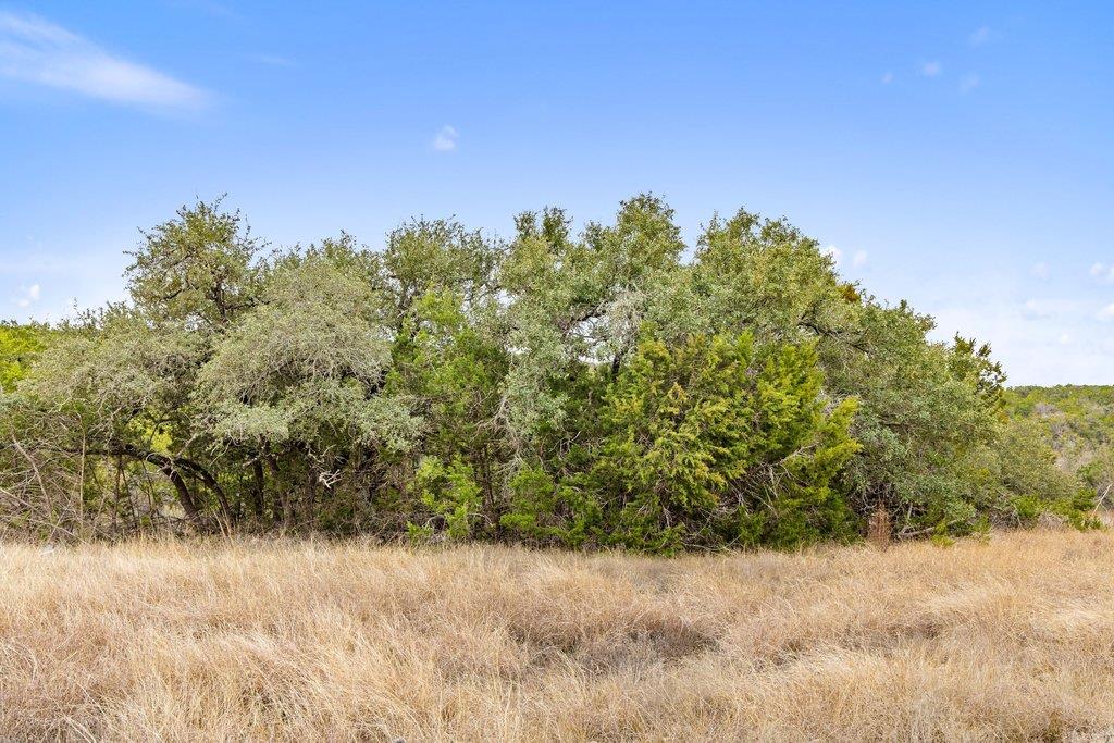 5408 Spring Preserve Trl, Bee Cave, TX 78738