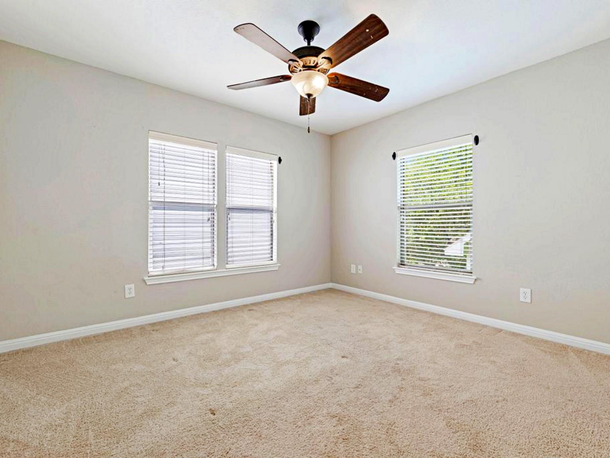 247 Cleveland, Kyle, TX 78640