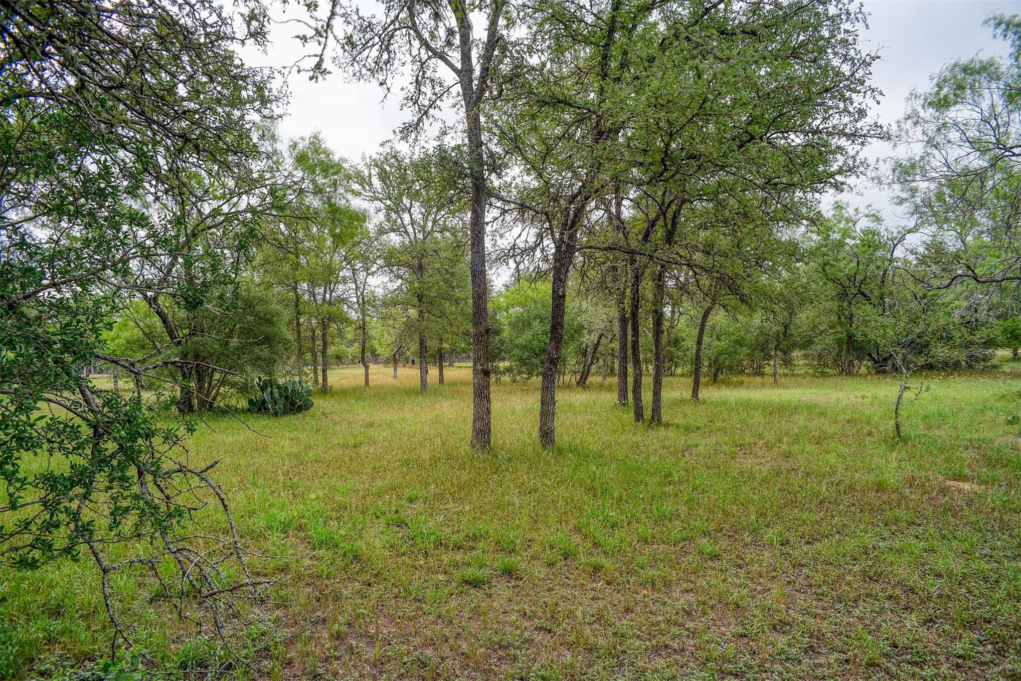 339 Elm Forest Loop, Cedar Creek, TX 78612