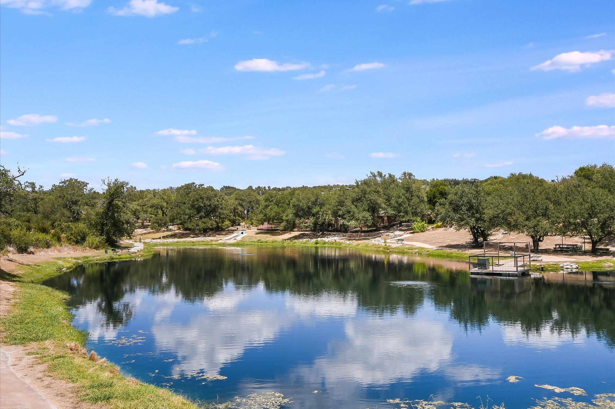 17100 FLAGLER Dr, Austin, TX 78738