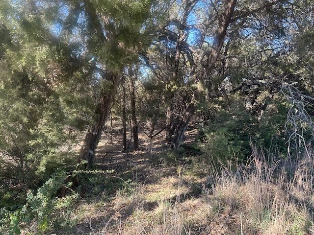 20607 High Dr, Lago Vista, TX 78645