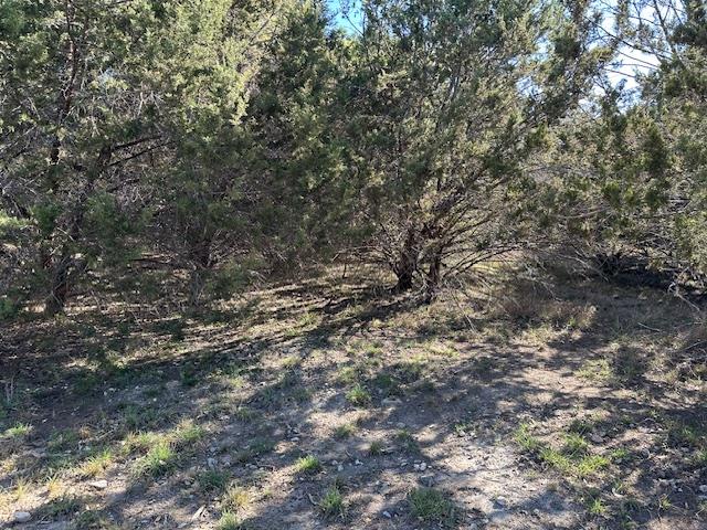 20607 High Dr, Lago Vista, TX 78645