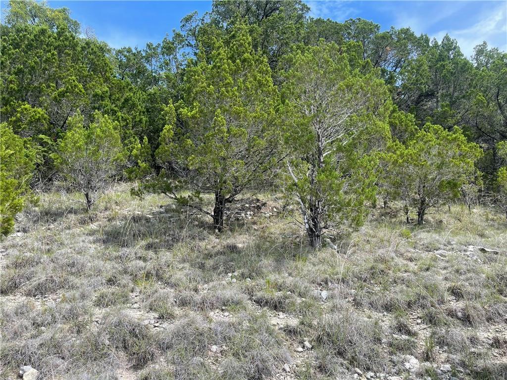 8210 Bar K Ranch Rd, Lago Vista, TX 78645