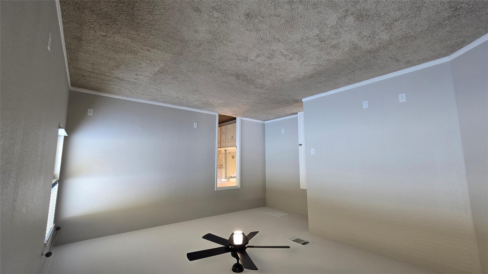 313 Charles Trl, Georgetown, TX 78626