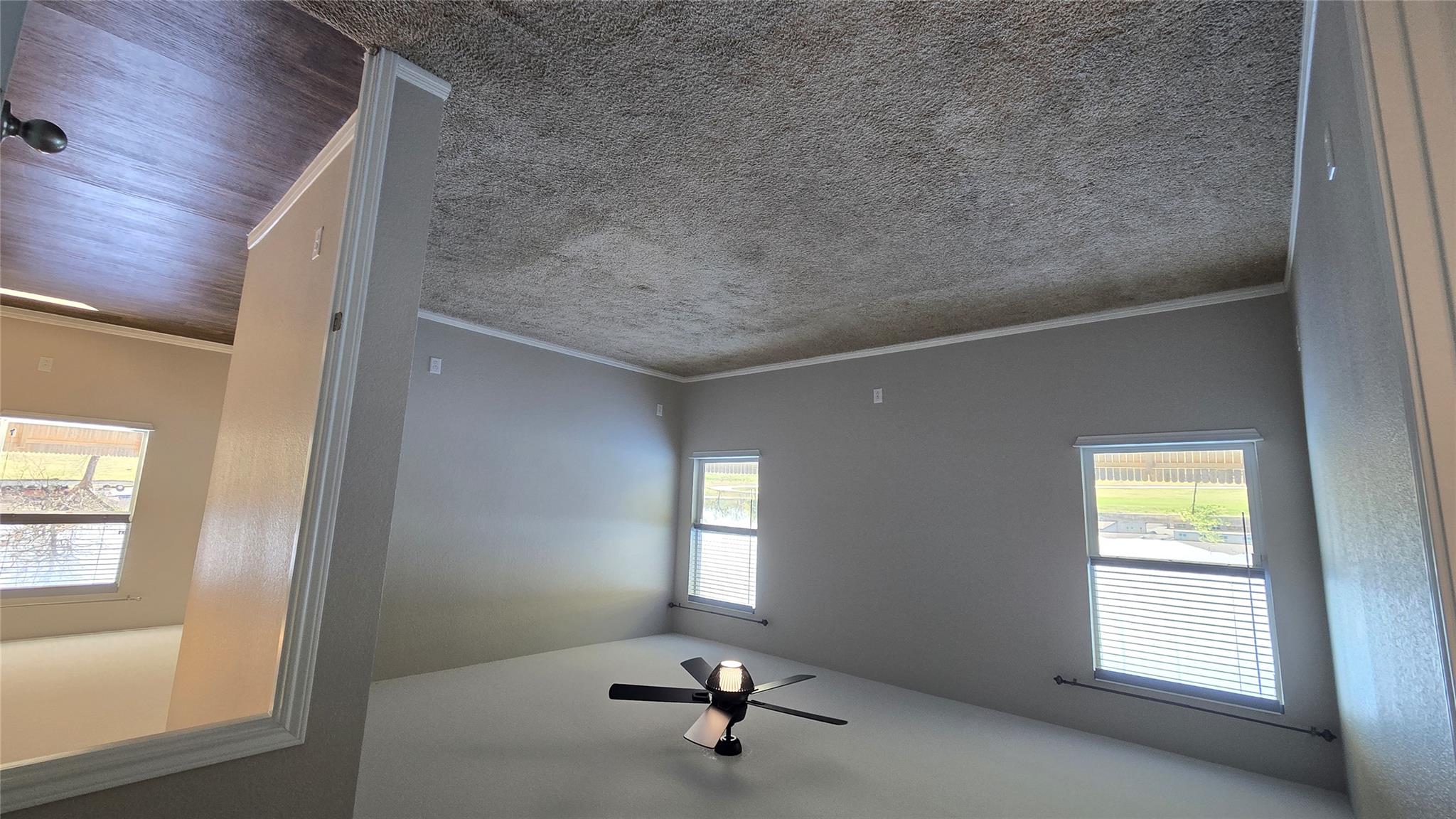 313 Charles Trl, Georgetown, TX 78626