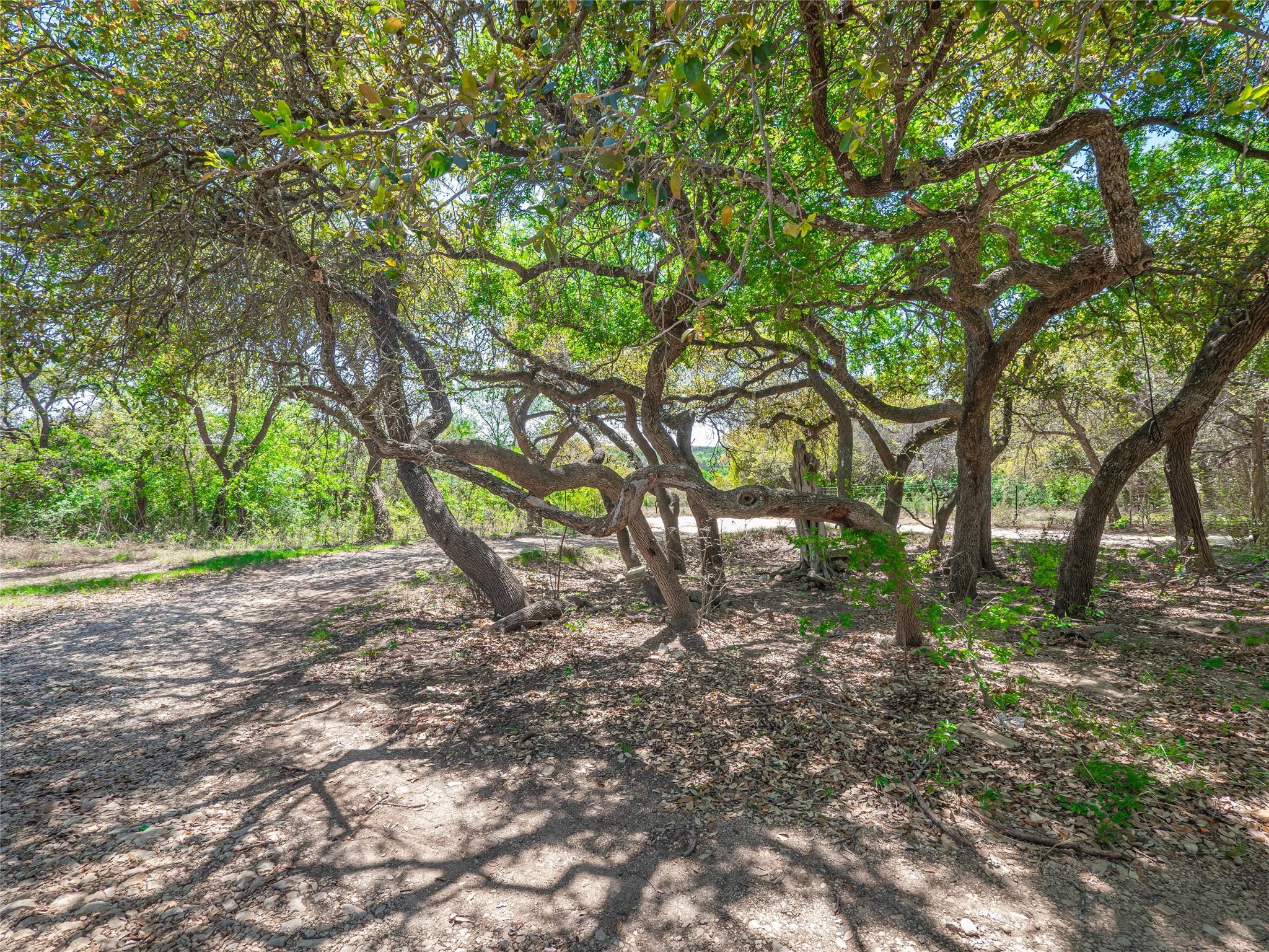 21500 Firefly Rd, Florence, TX 76527