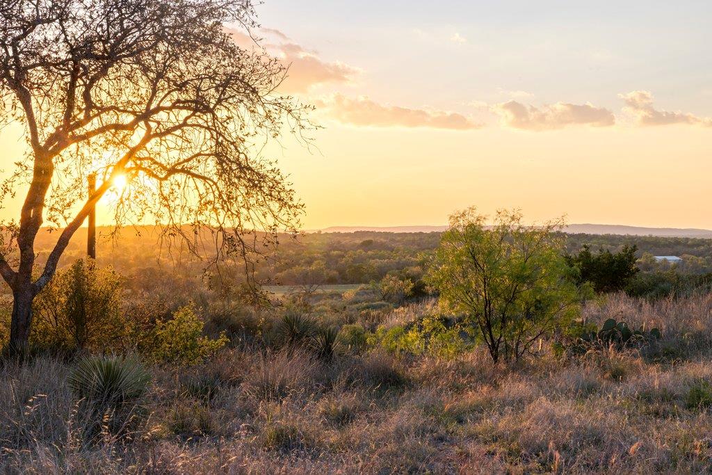 1407 County Road 311 Rd, Horseshoe Bay, TX 78657